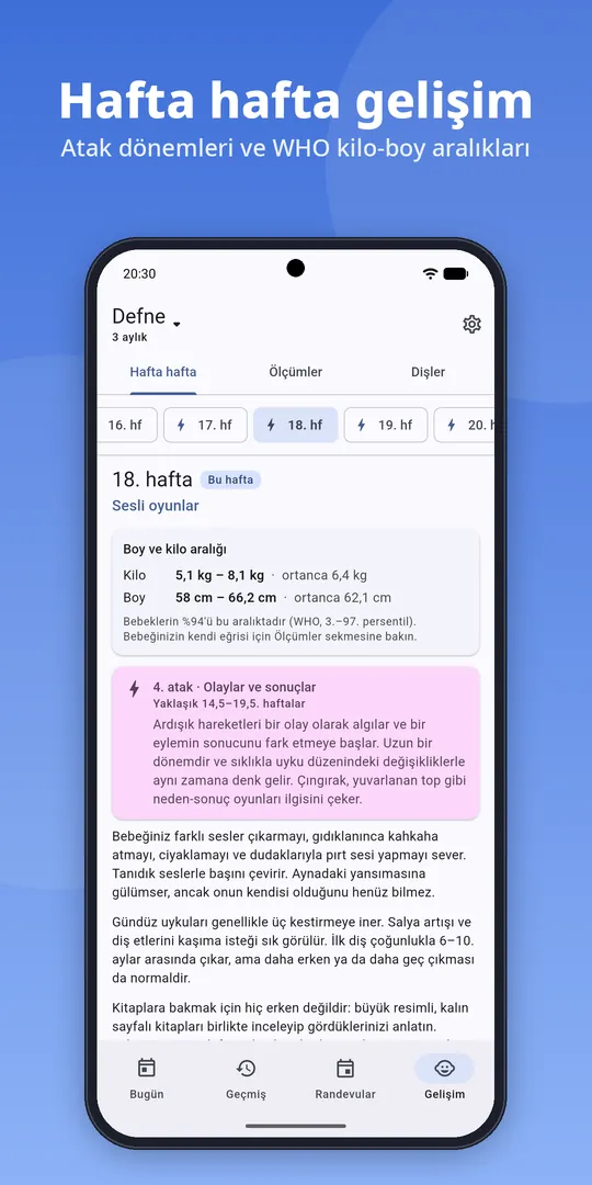 Hafta hafta gelişim rehberi